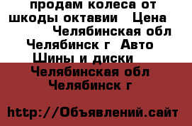 продам колеса от шкоды октавии › Цена ­ 13 000 - Челябинская обл., Челябинск г. Авто » Шины и диски   . Челябинская обл.,Челябинск г.